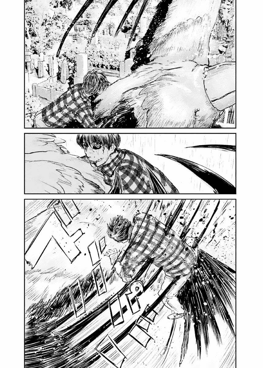 page_5.jpg