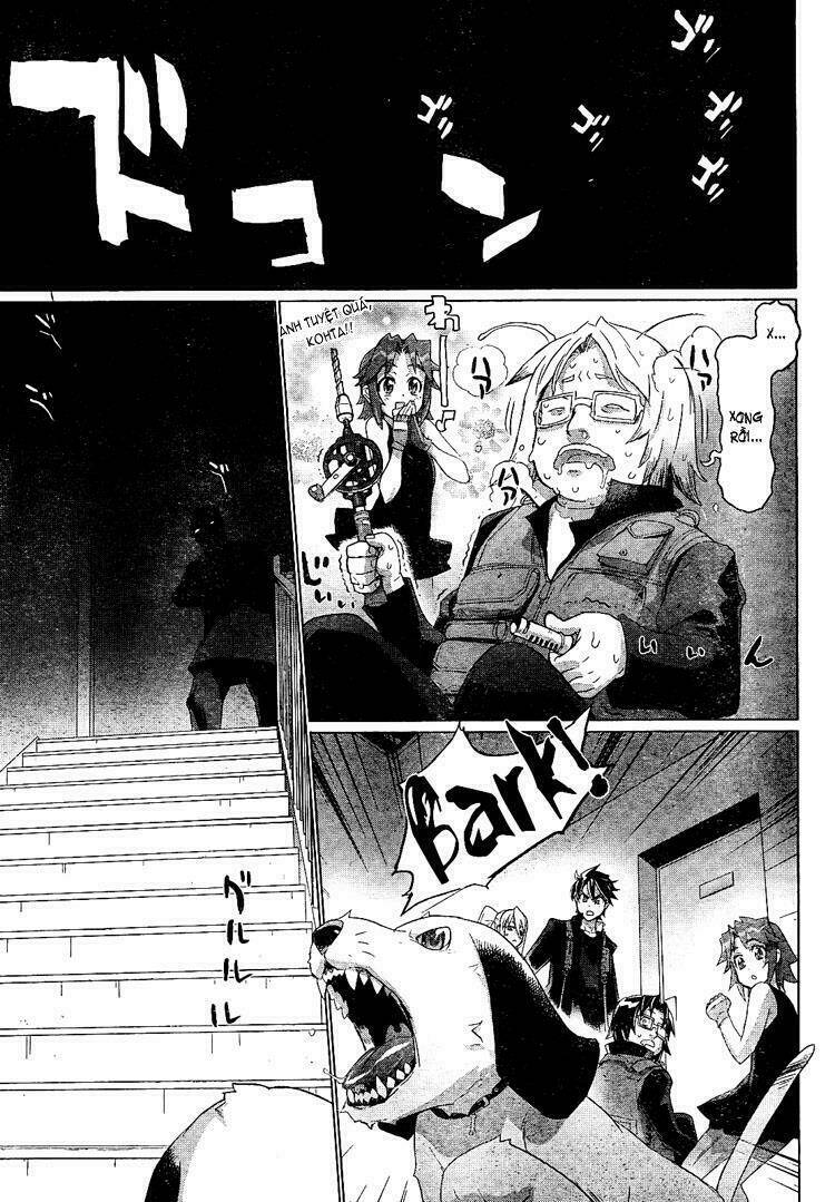 page_17.jpg