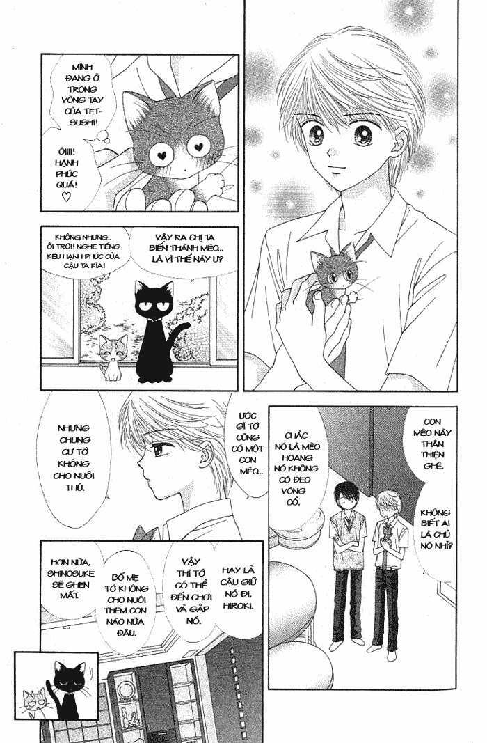 page_16.jpg