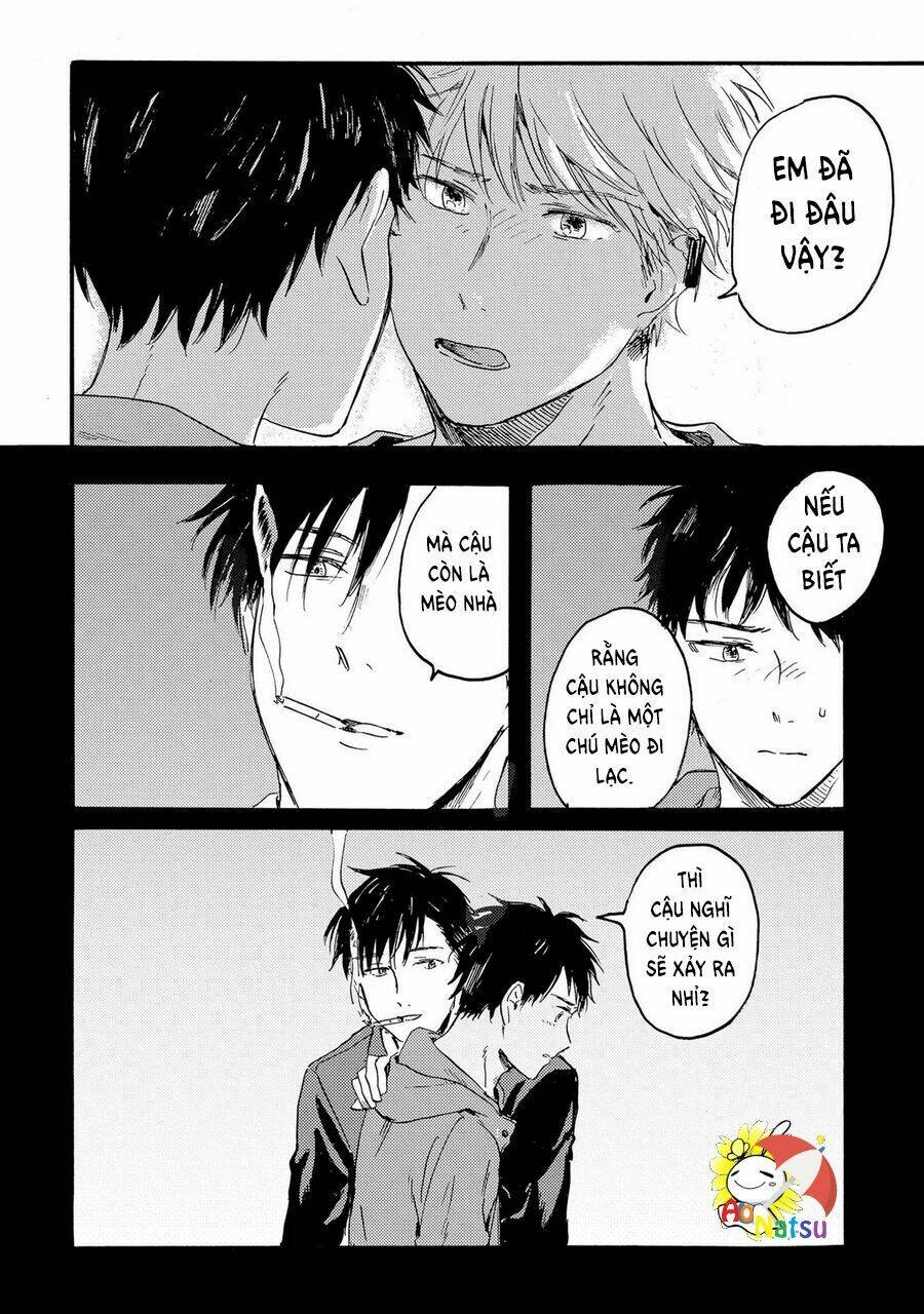 page_22.jpg