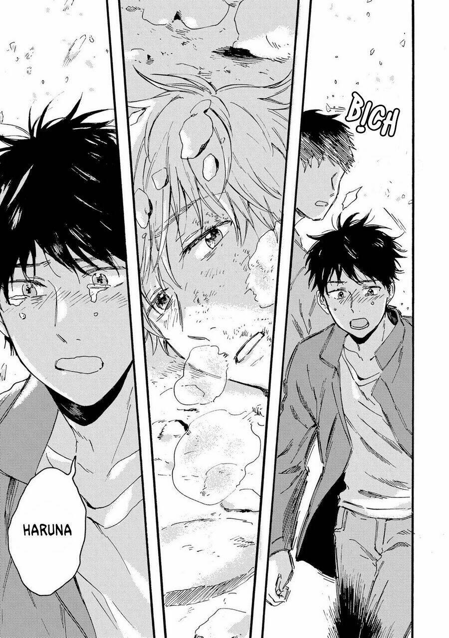 page_13.jpg