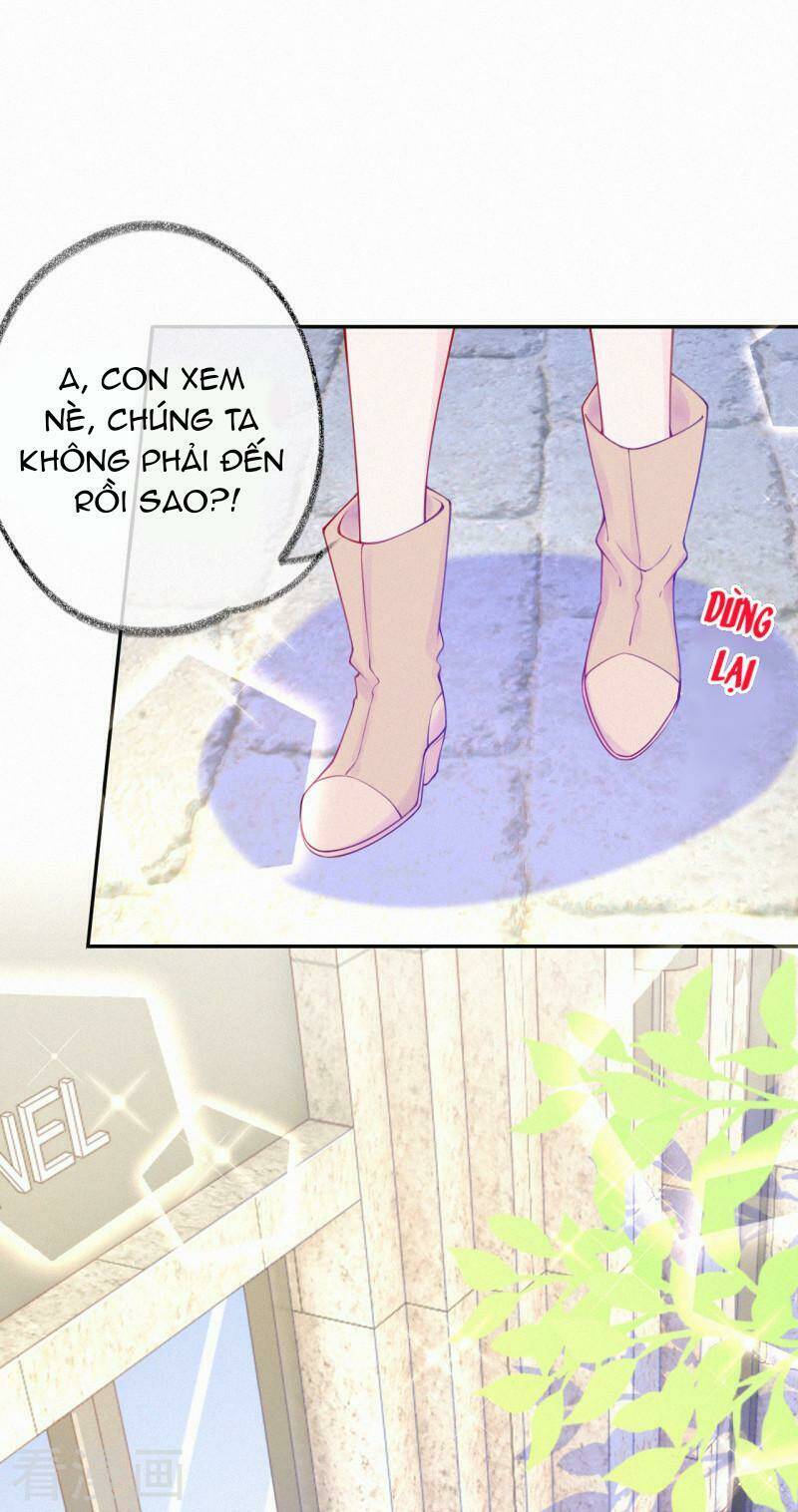 page_17.jpg