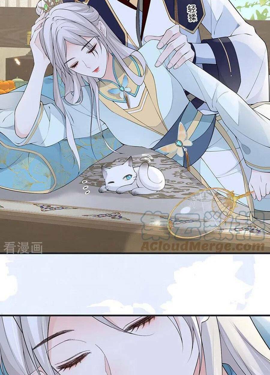 page_17.jpg
