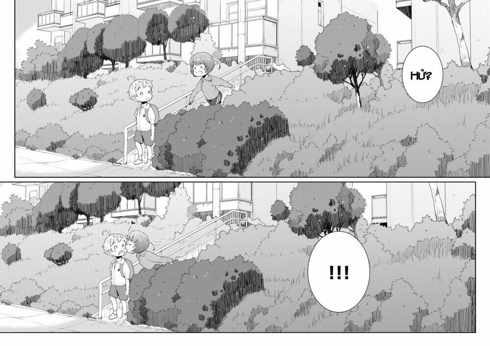 page_19.jpg