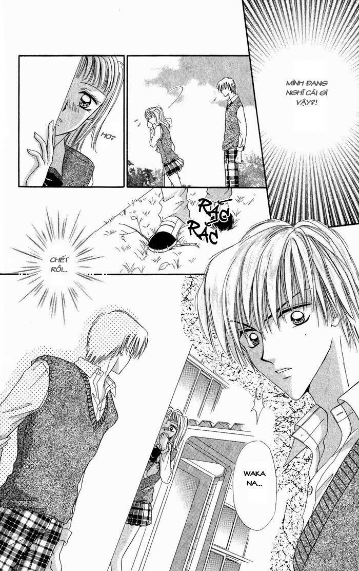 page_21.jpg