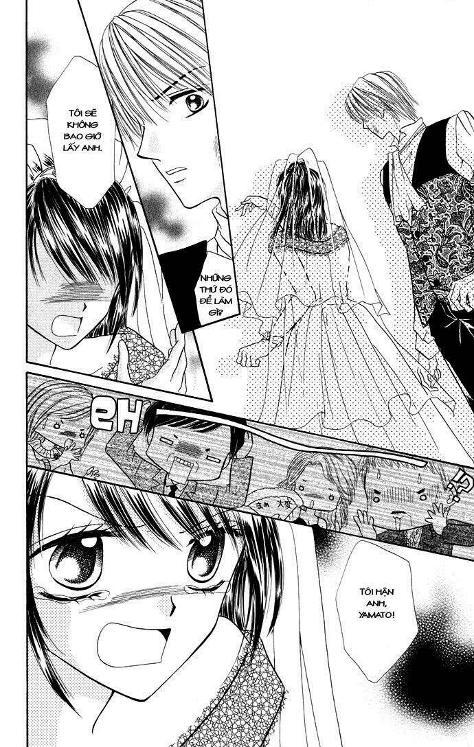 page_24.jpg