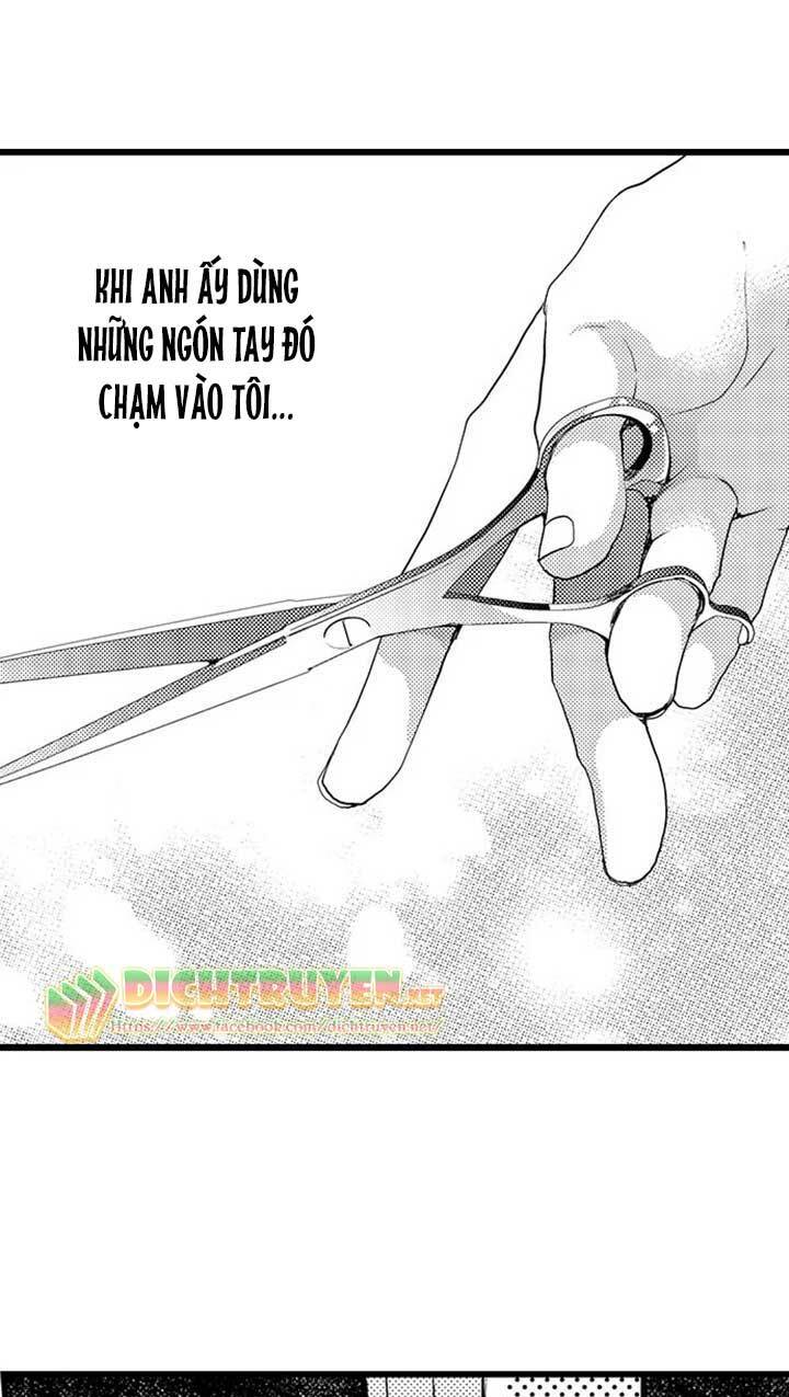 page_29.jpg