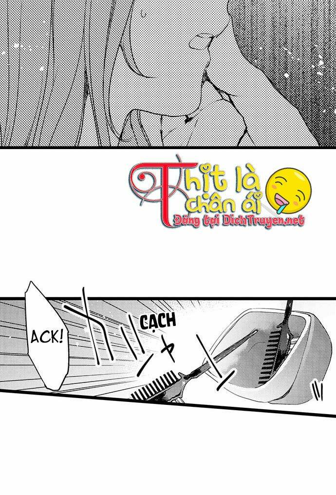 page_17.jpg