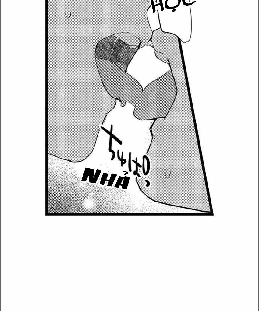 page_17.jpg