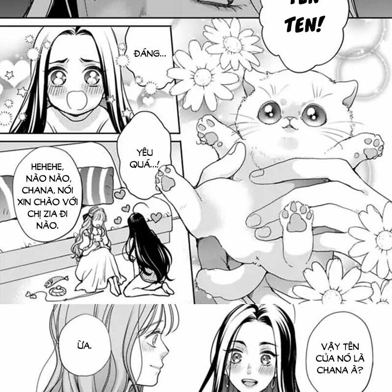 page_25.jpg