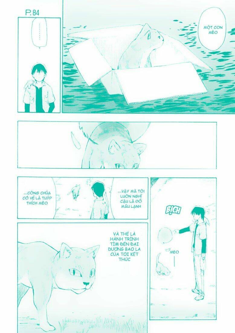 page_28.jpg