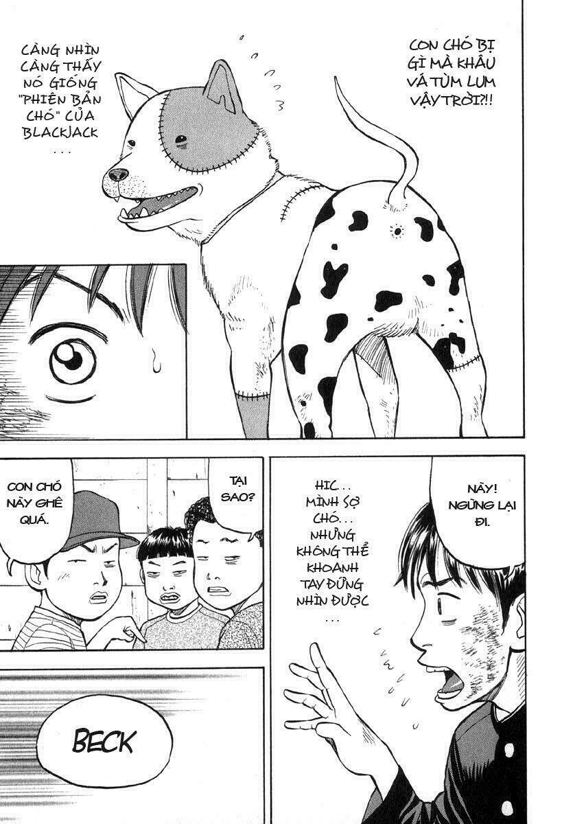 page_26.jpg