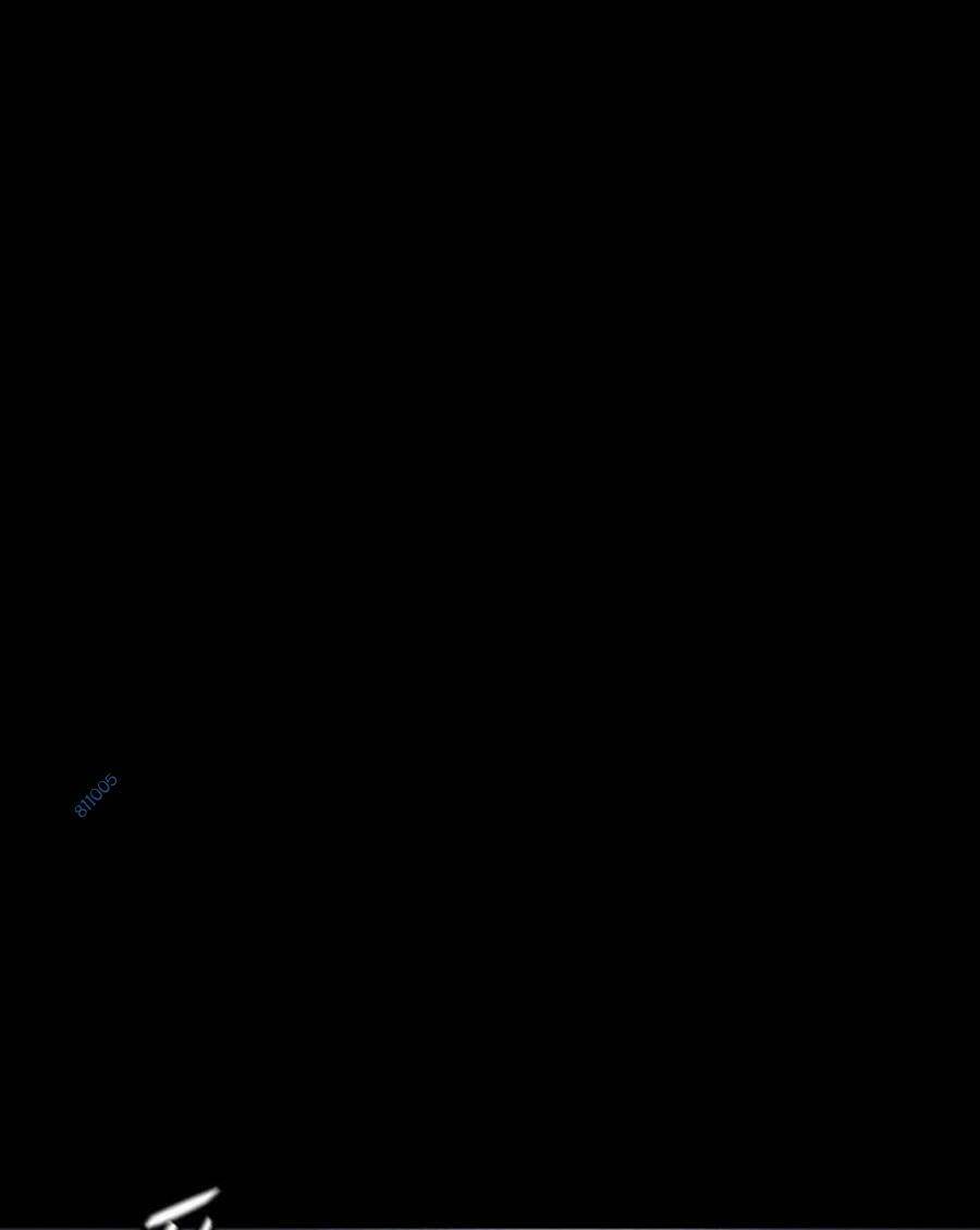 page_32.jpg