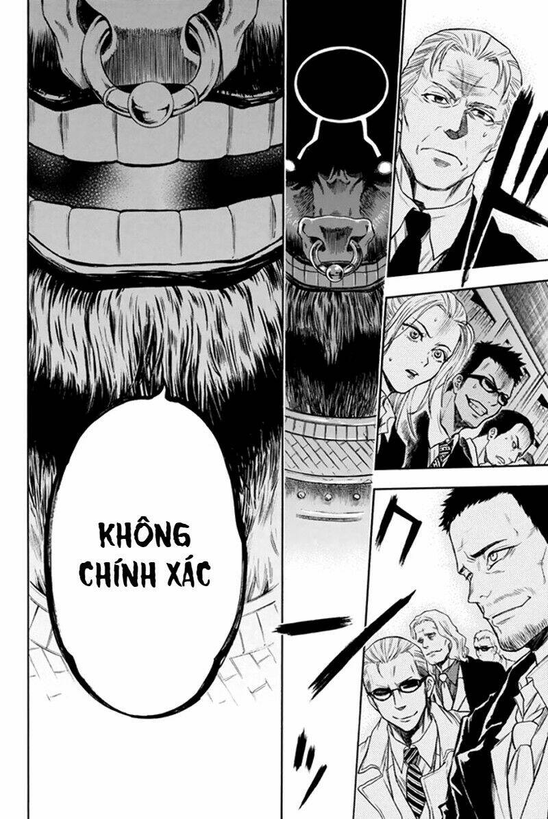 page_13.jpg