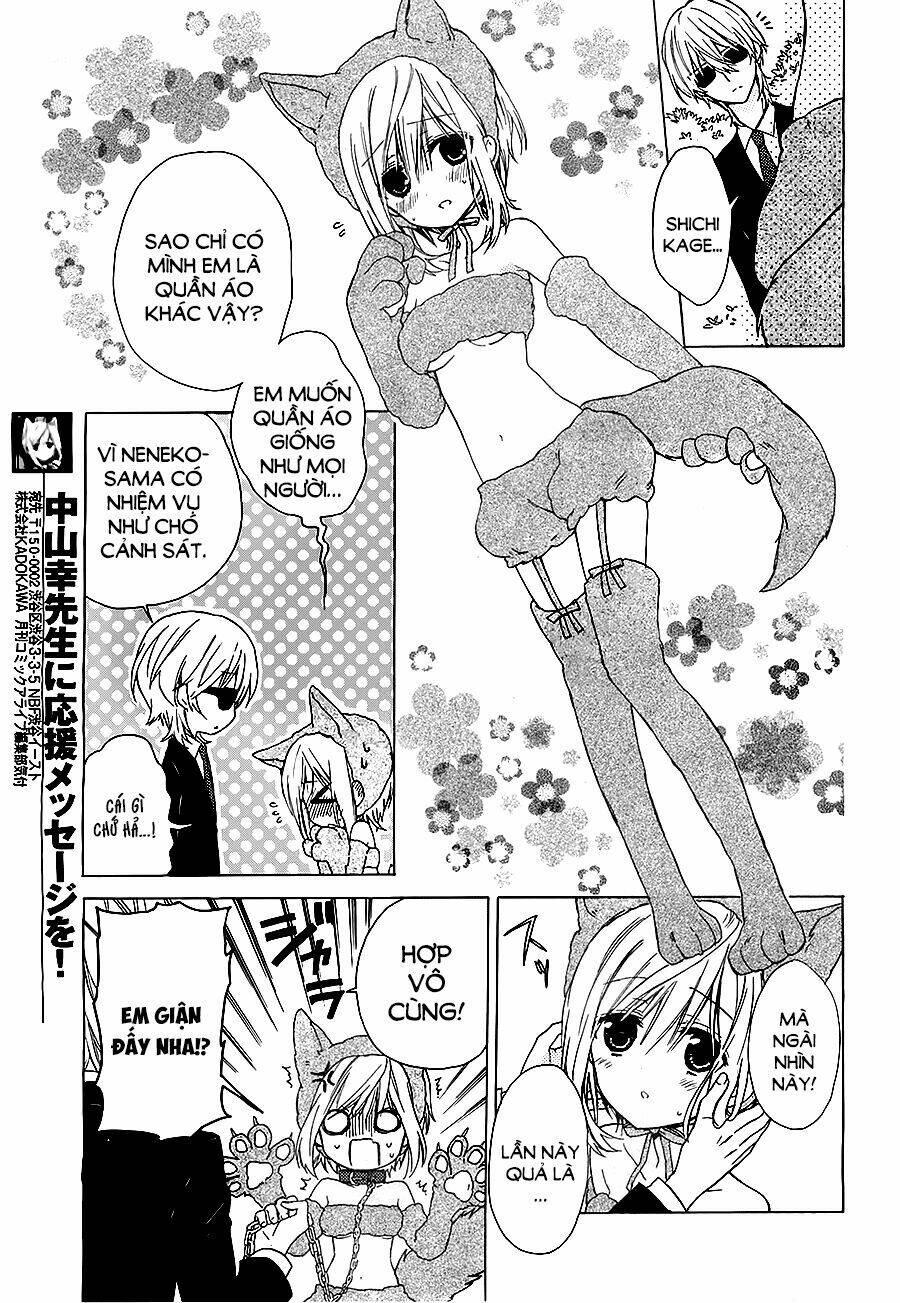 page_11.jpg