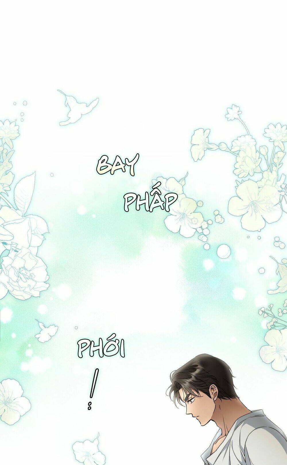 page_20.jpg