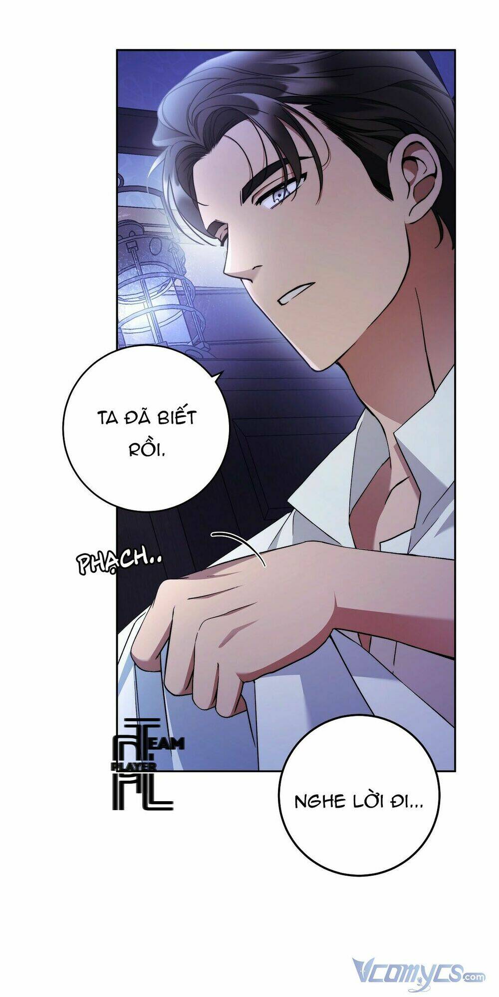 page_26.jpg
