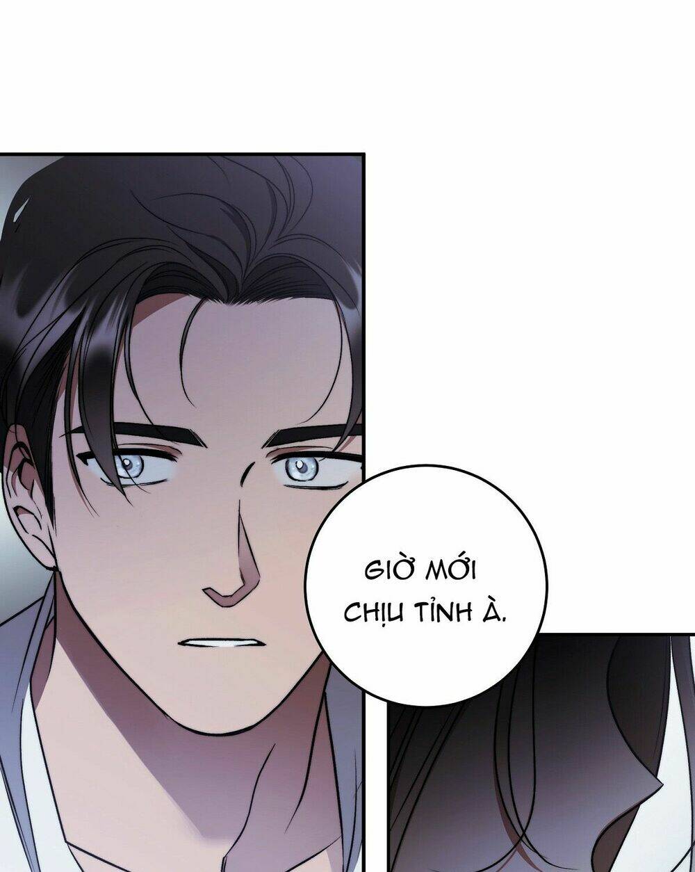 page_28.jpg