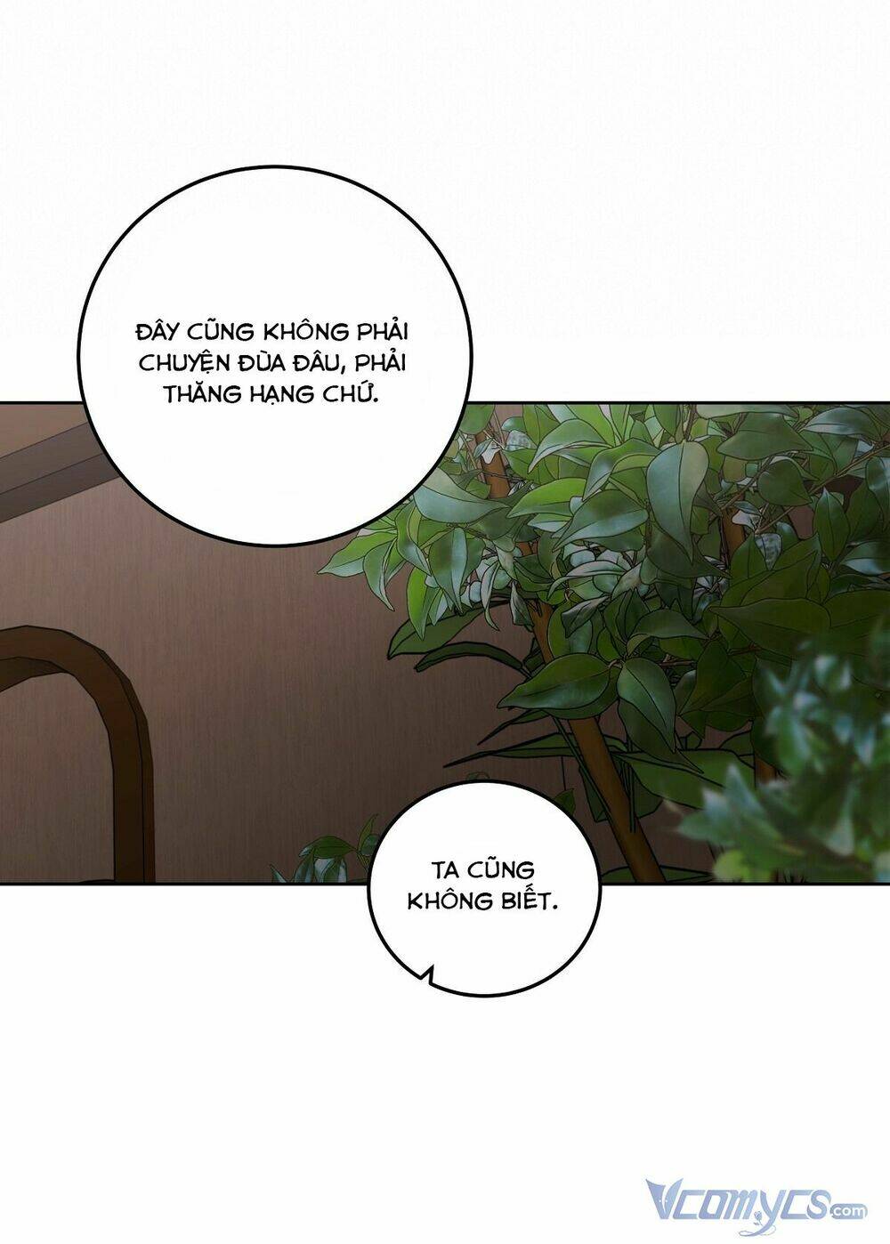 page_46.jpg