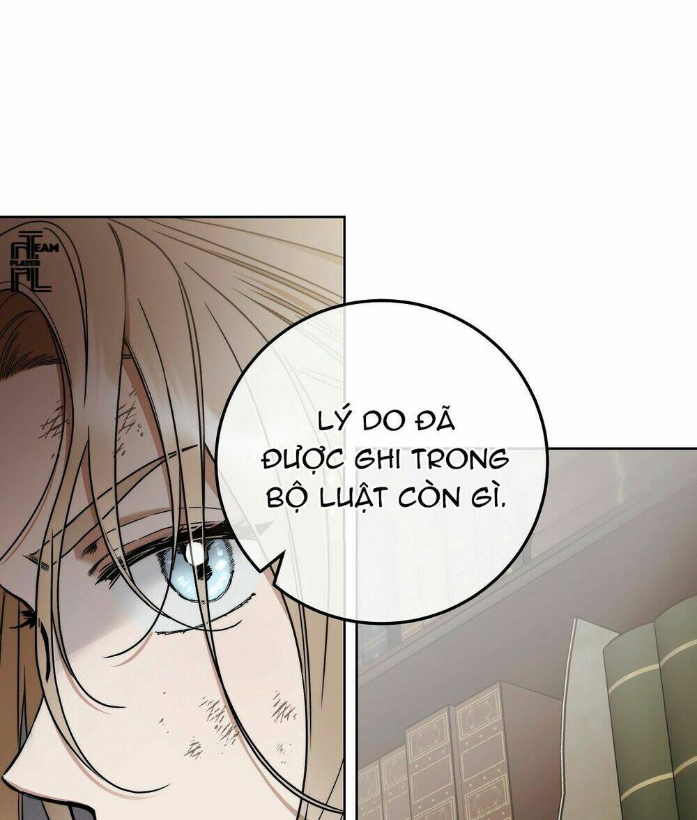 page_41.jpg
