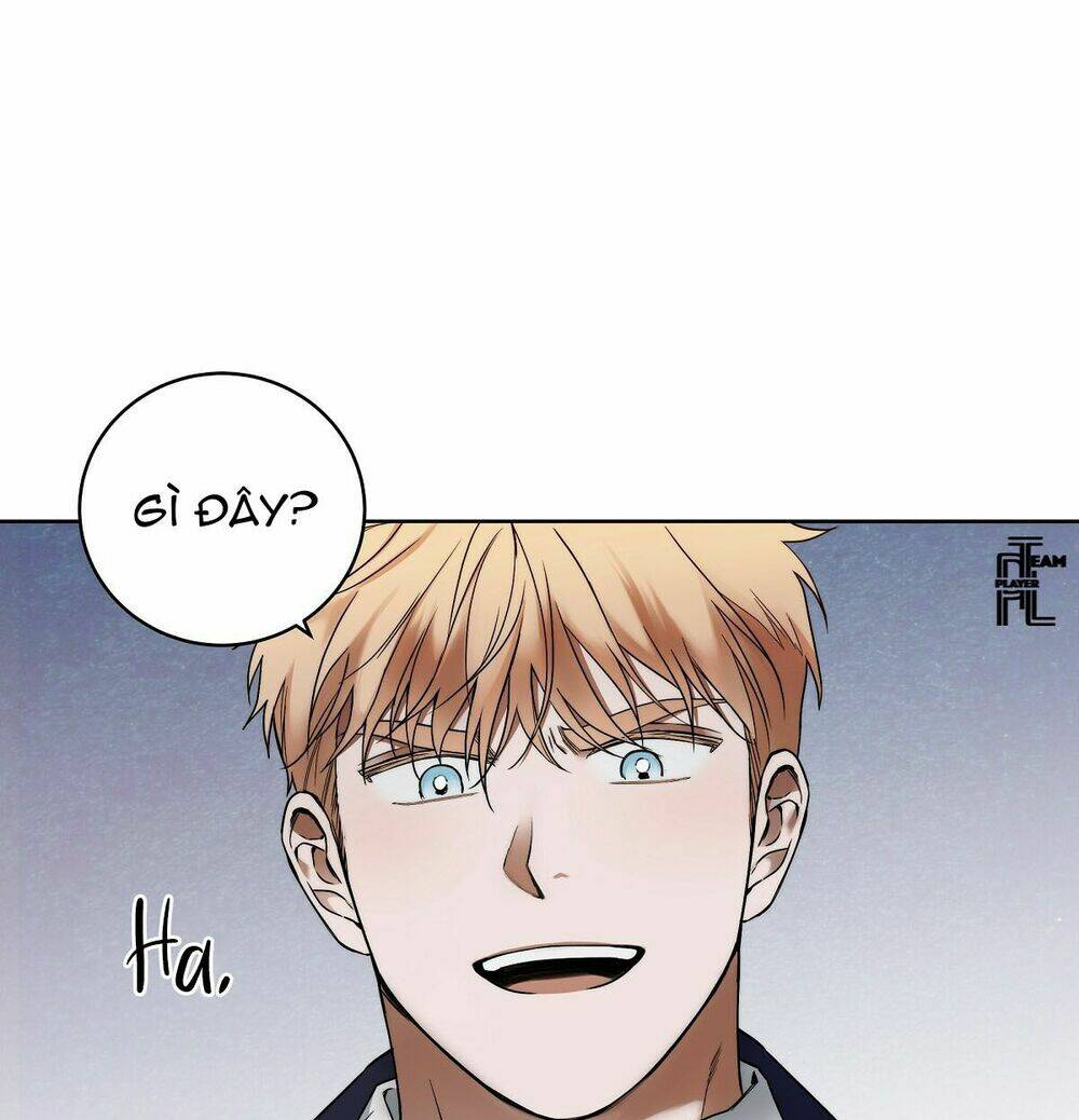 page_19.jpg