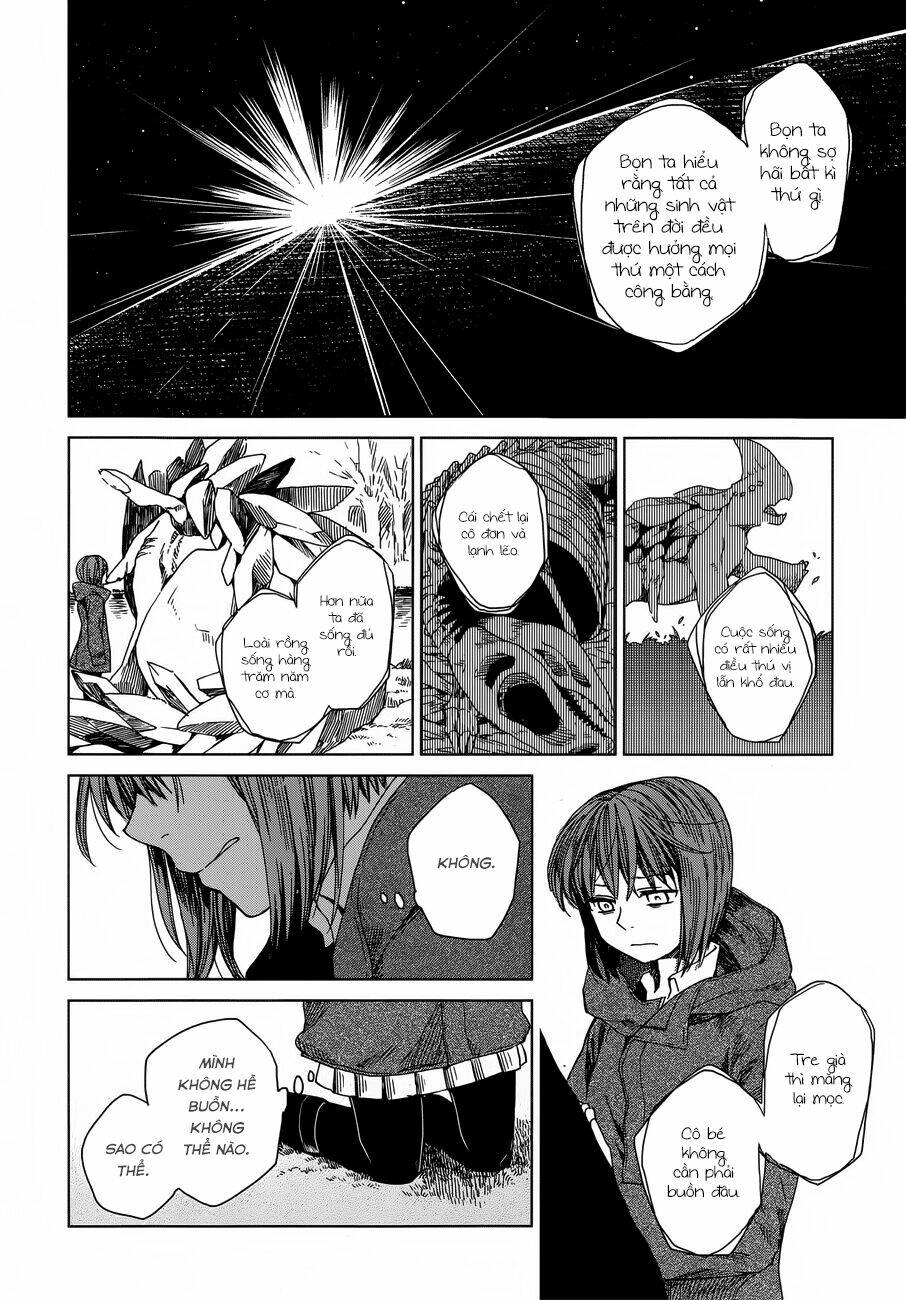 page_27.jpg