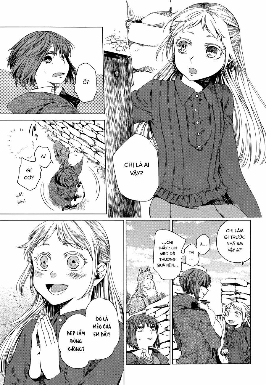page_17.jpg
