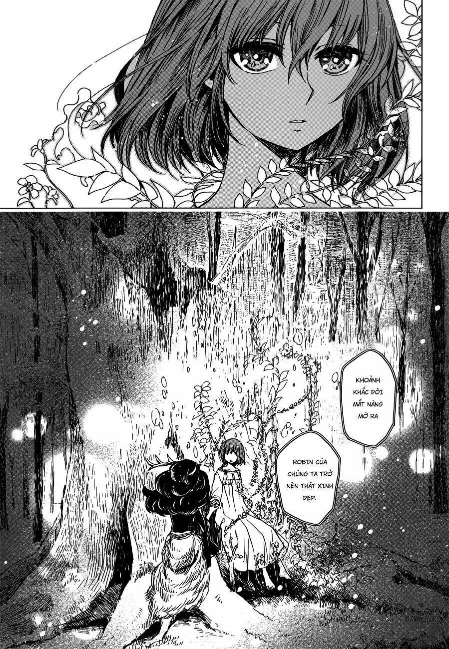 page_24.jpg