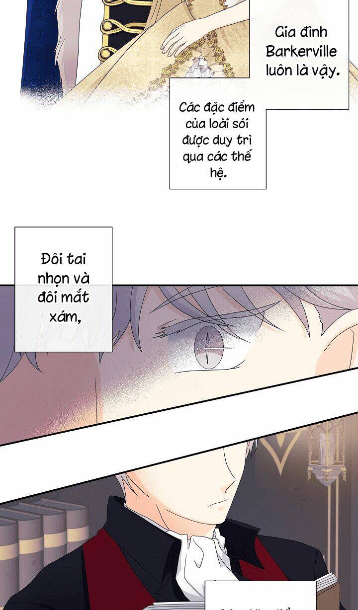 page_35.jpg