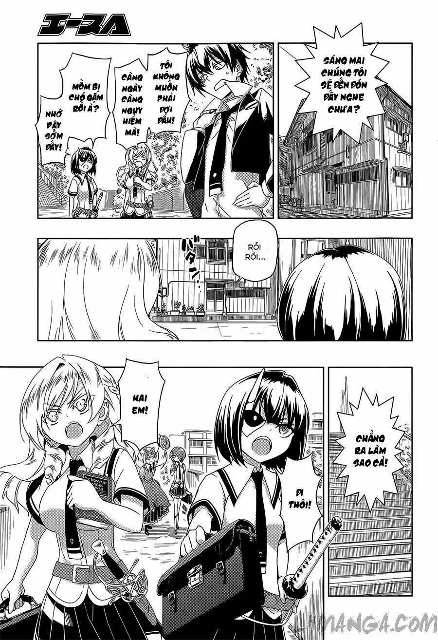 page_11.jpg