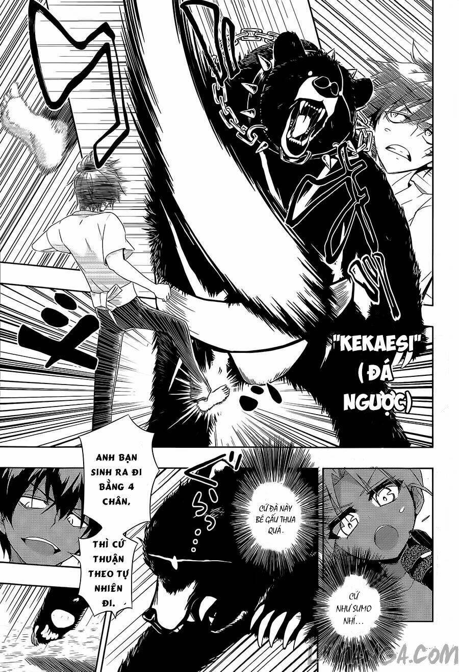 page_20.jpg