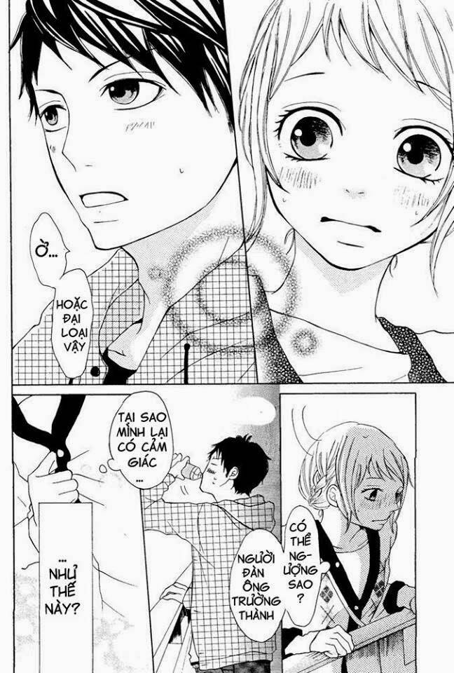 page_17.jpg