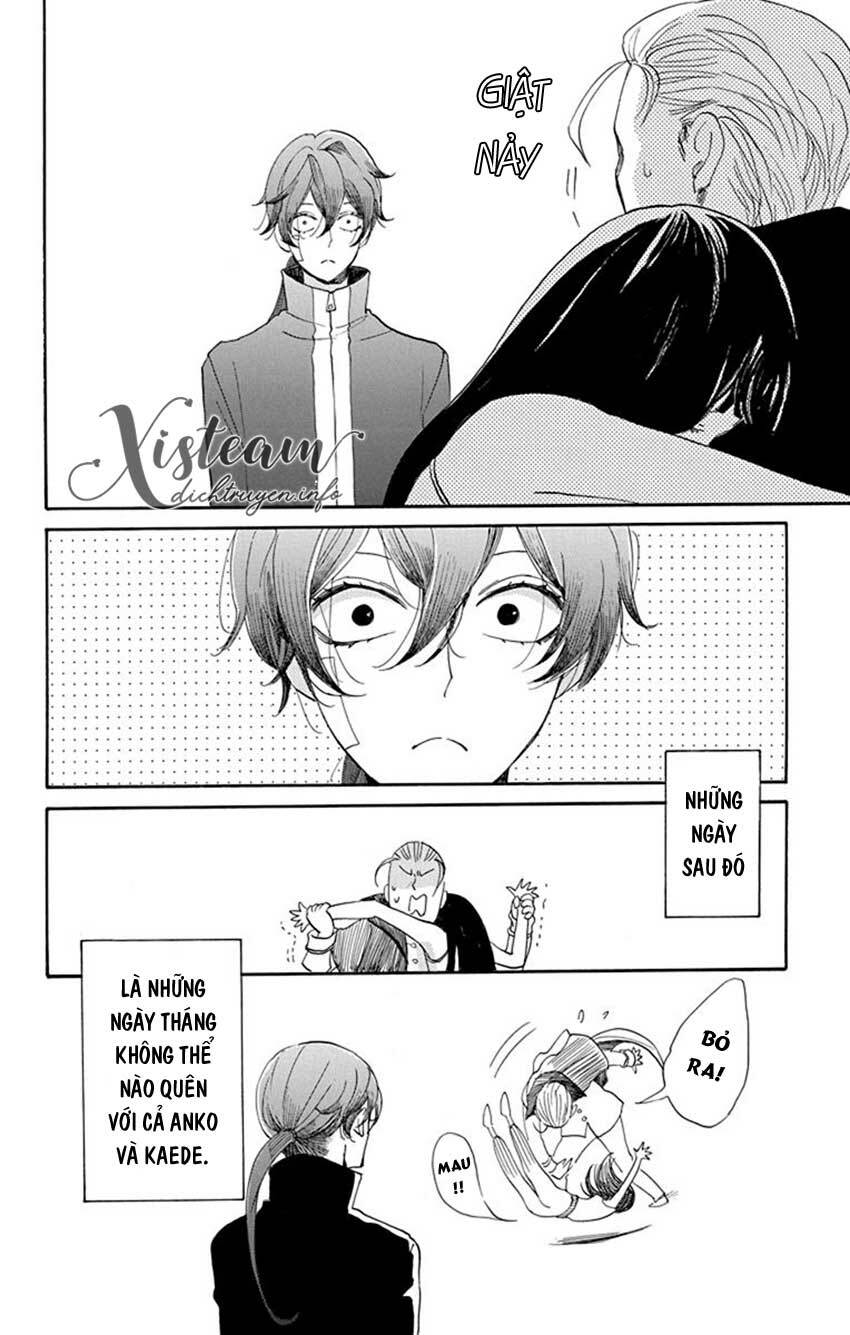 page_30.jpg