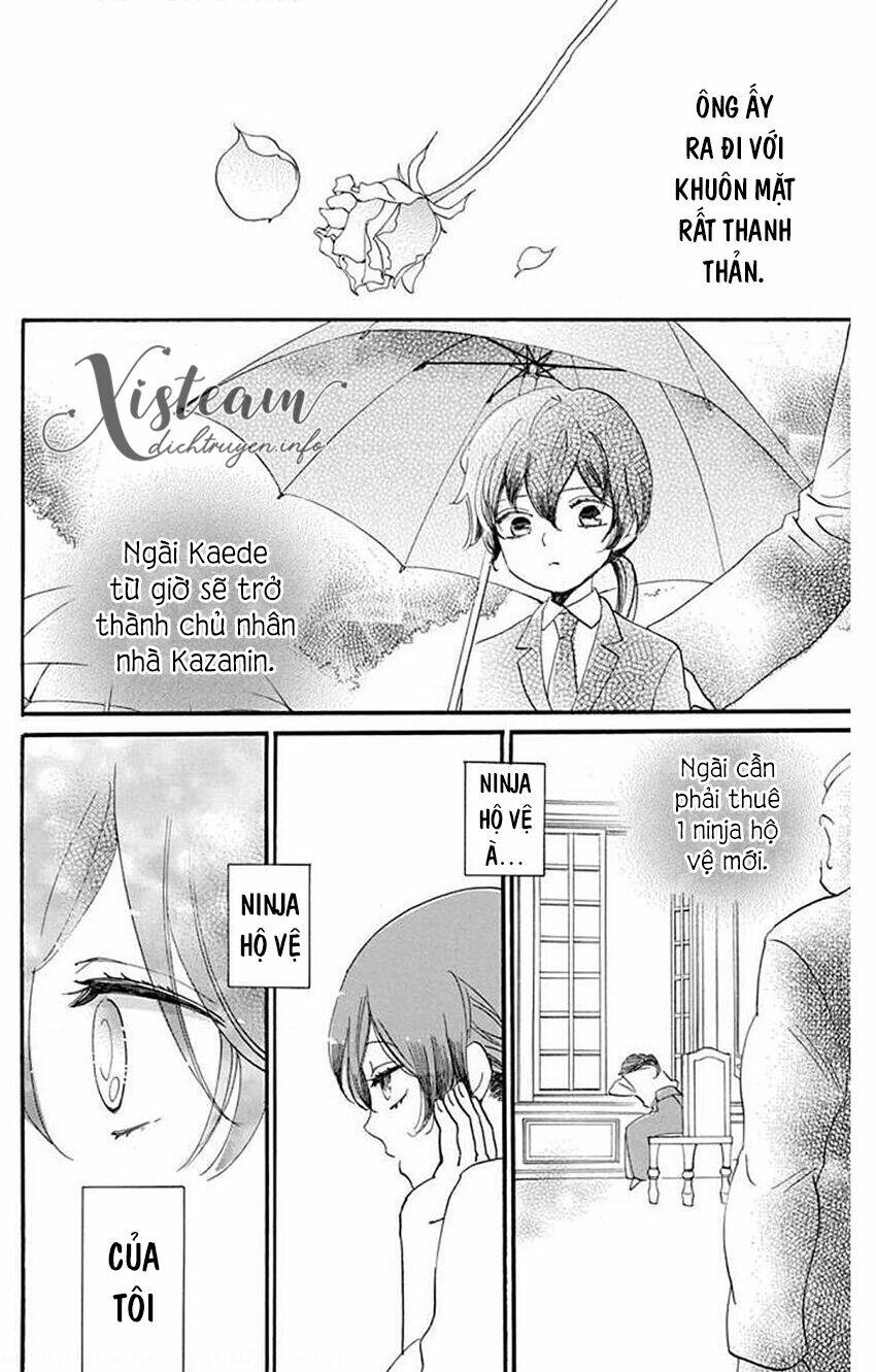 page_24.jpg