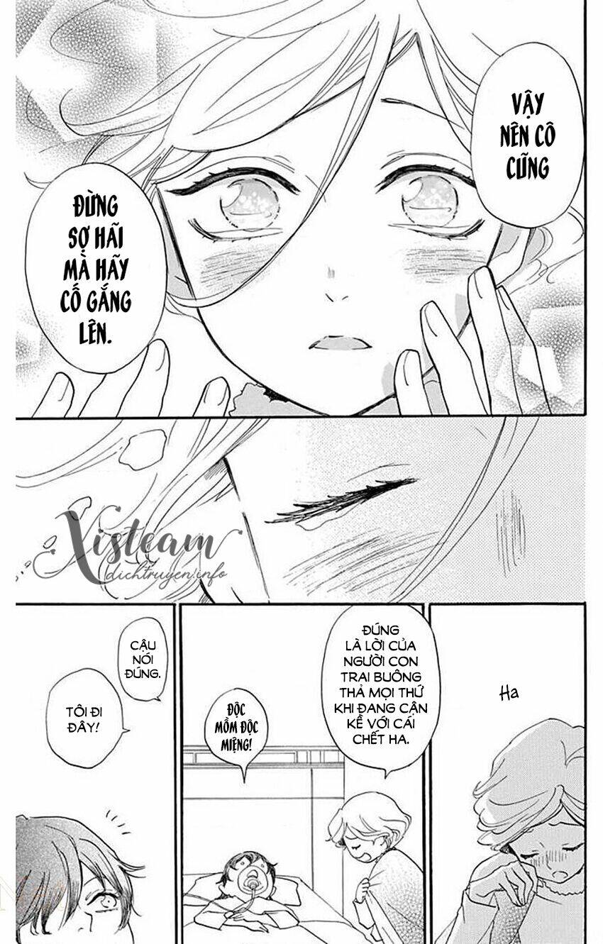page_29.jpg