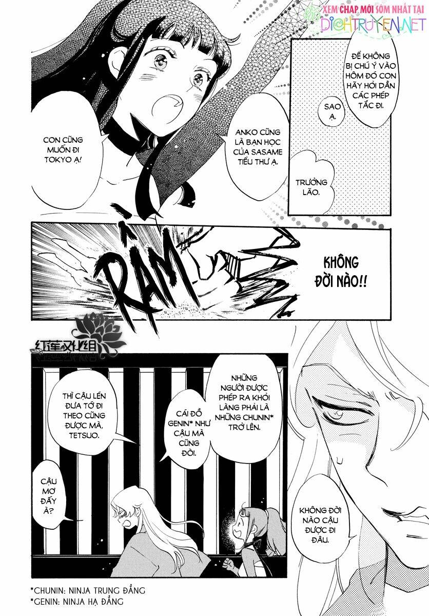 page_11.jpg
