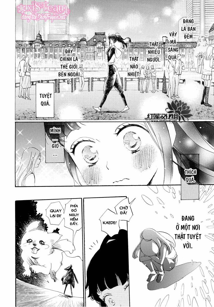page_12.jpg