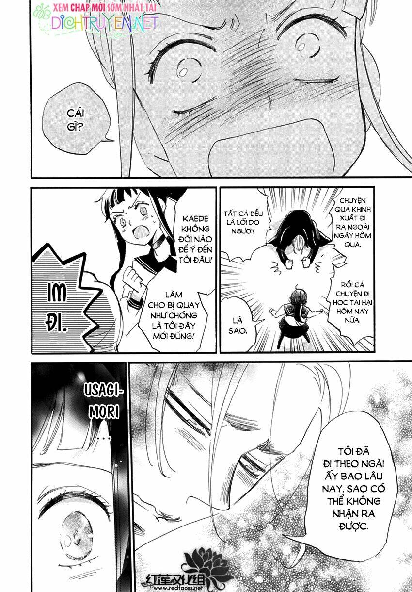 page_24.jpg