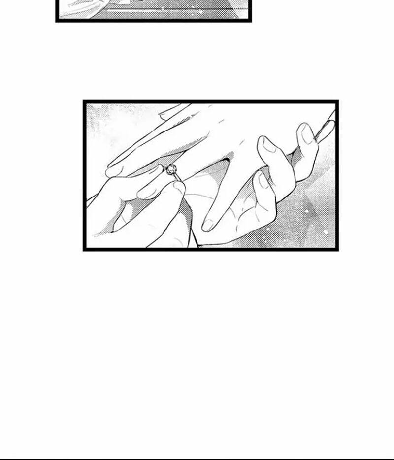 page_19.jpg