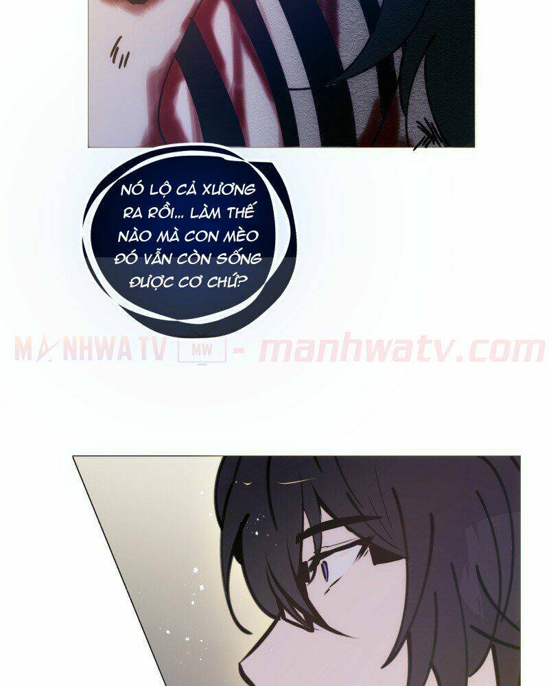 page_18.jpg