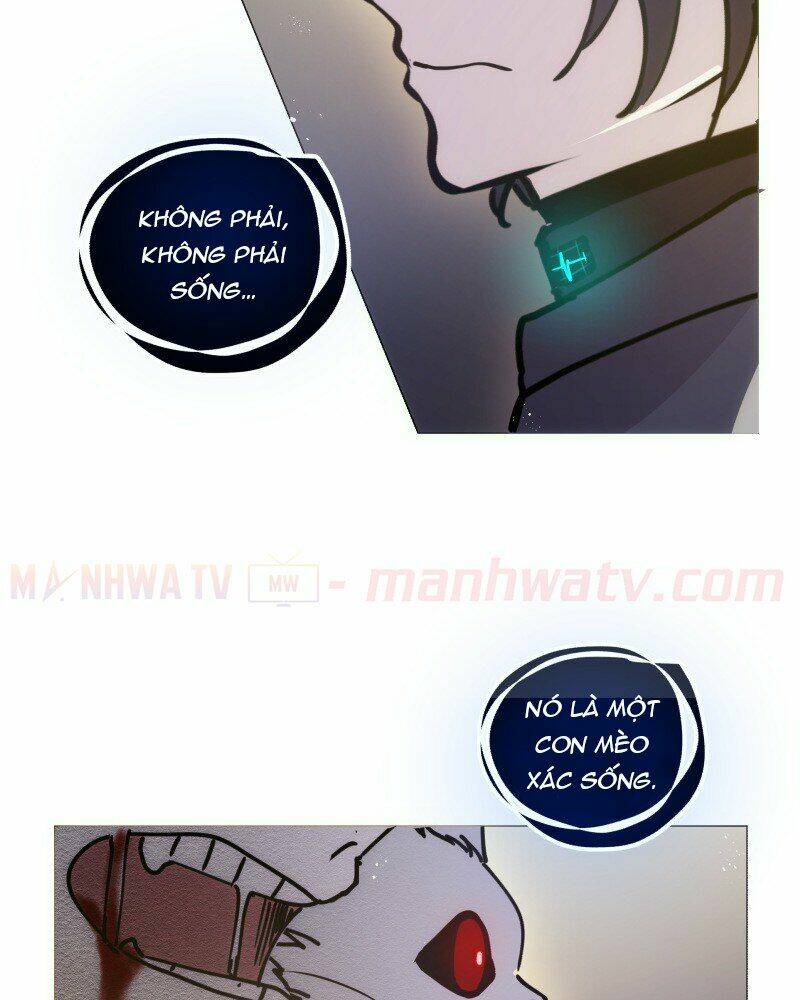 page_19.jpg