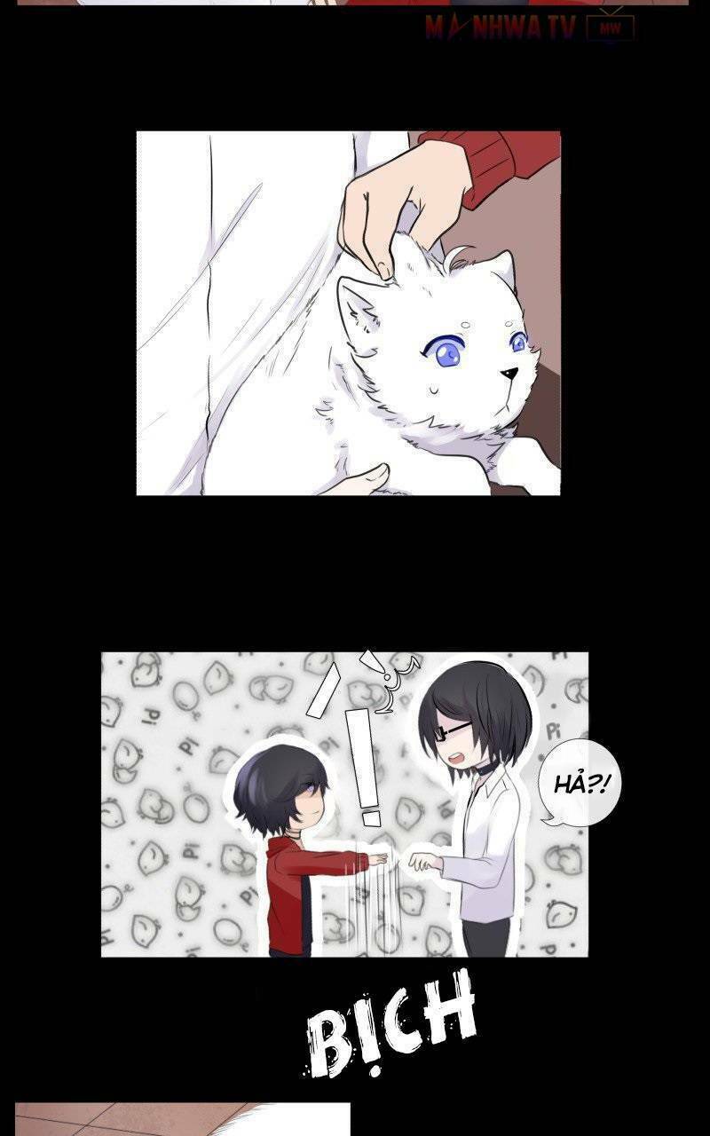 page_28.jpg