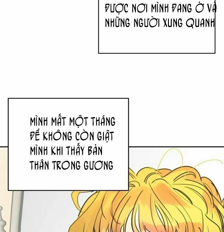 page_20.jpg