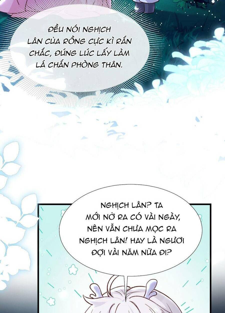 page_29.jpg