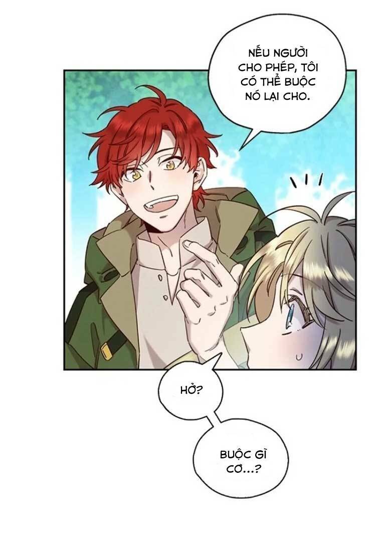 page_23.jpg