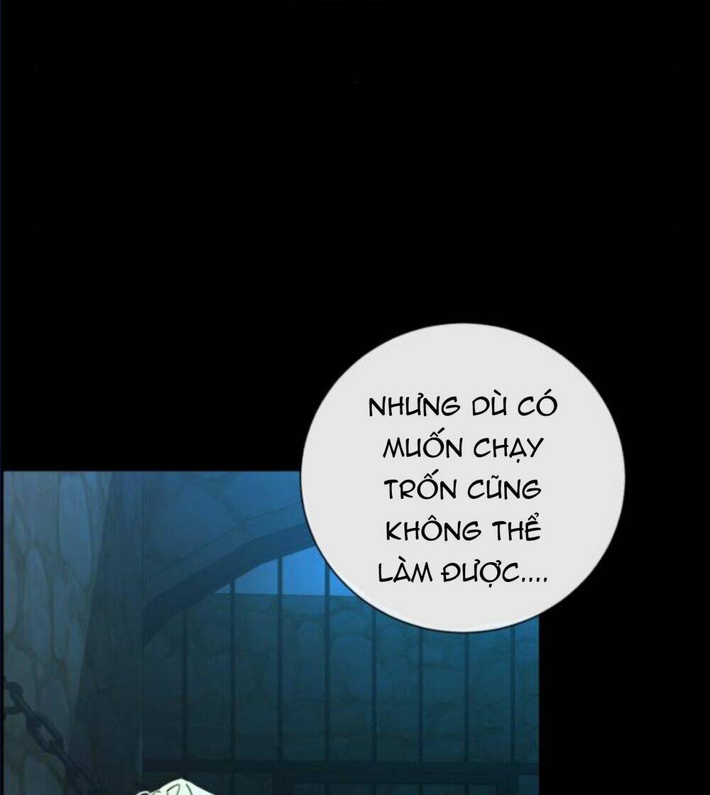 page_24.jpg