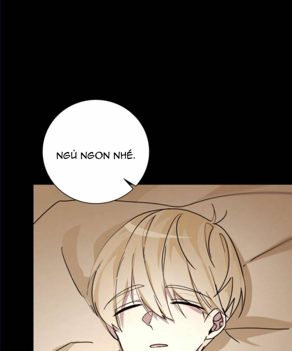 page_15.jpg