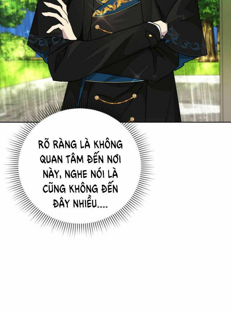 page_19.jpg