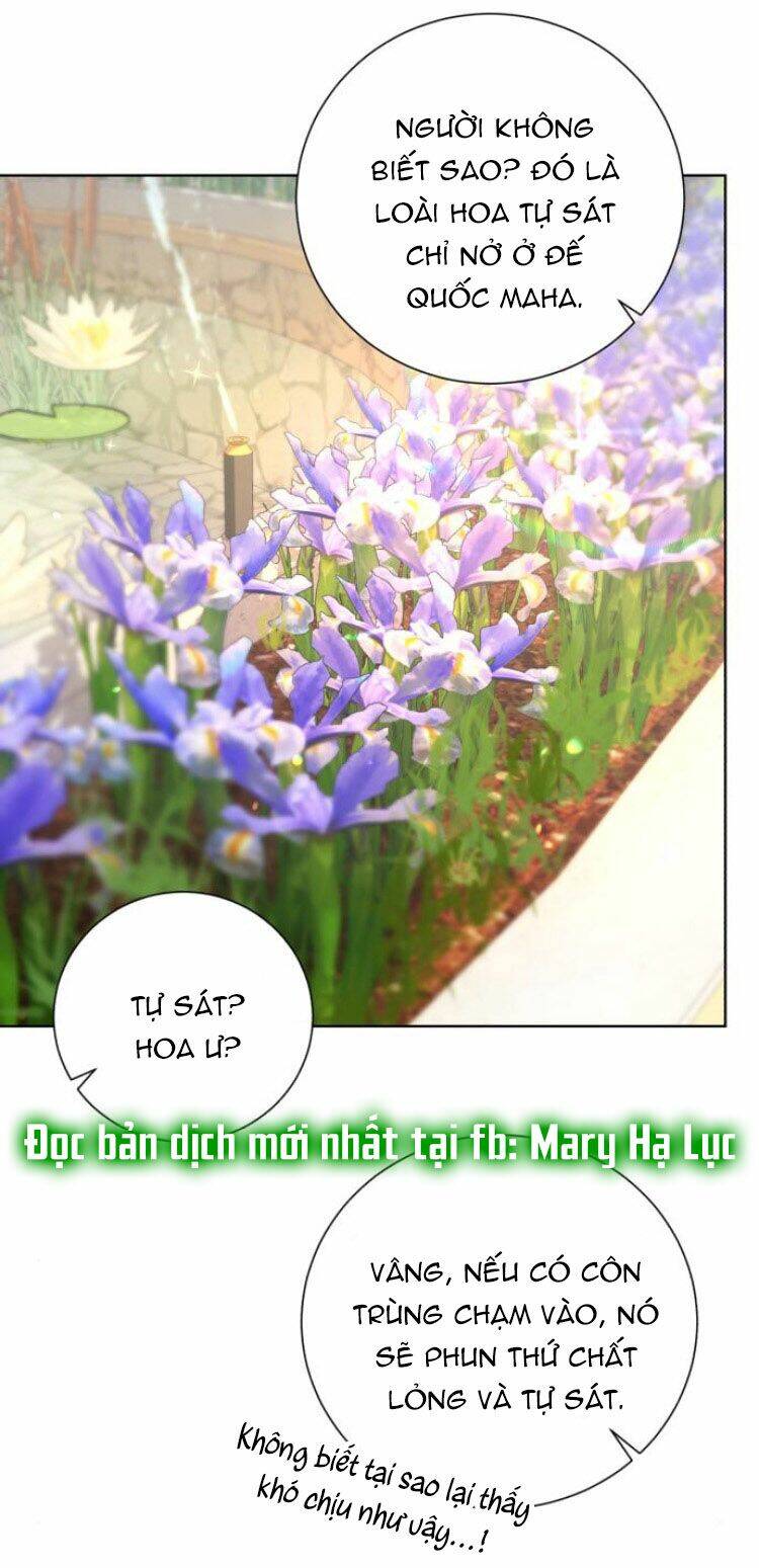 page_29.jpg