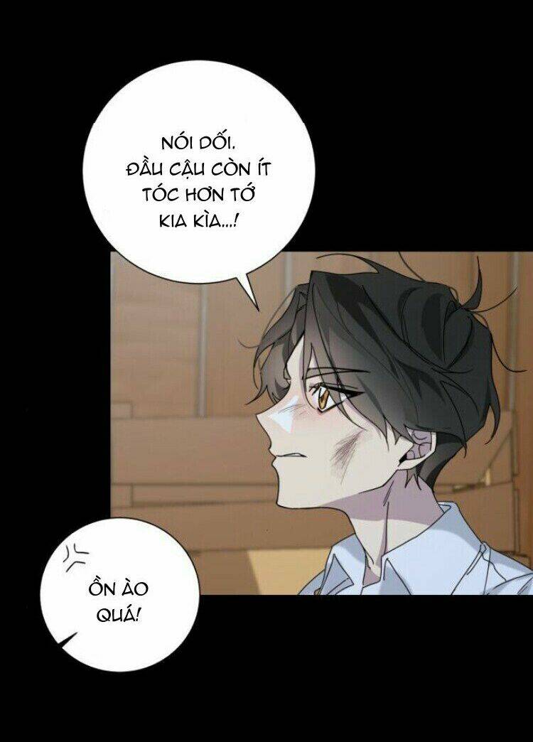 page_29.jpg